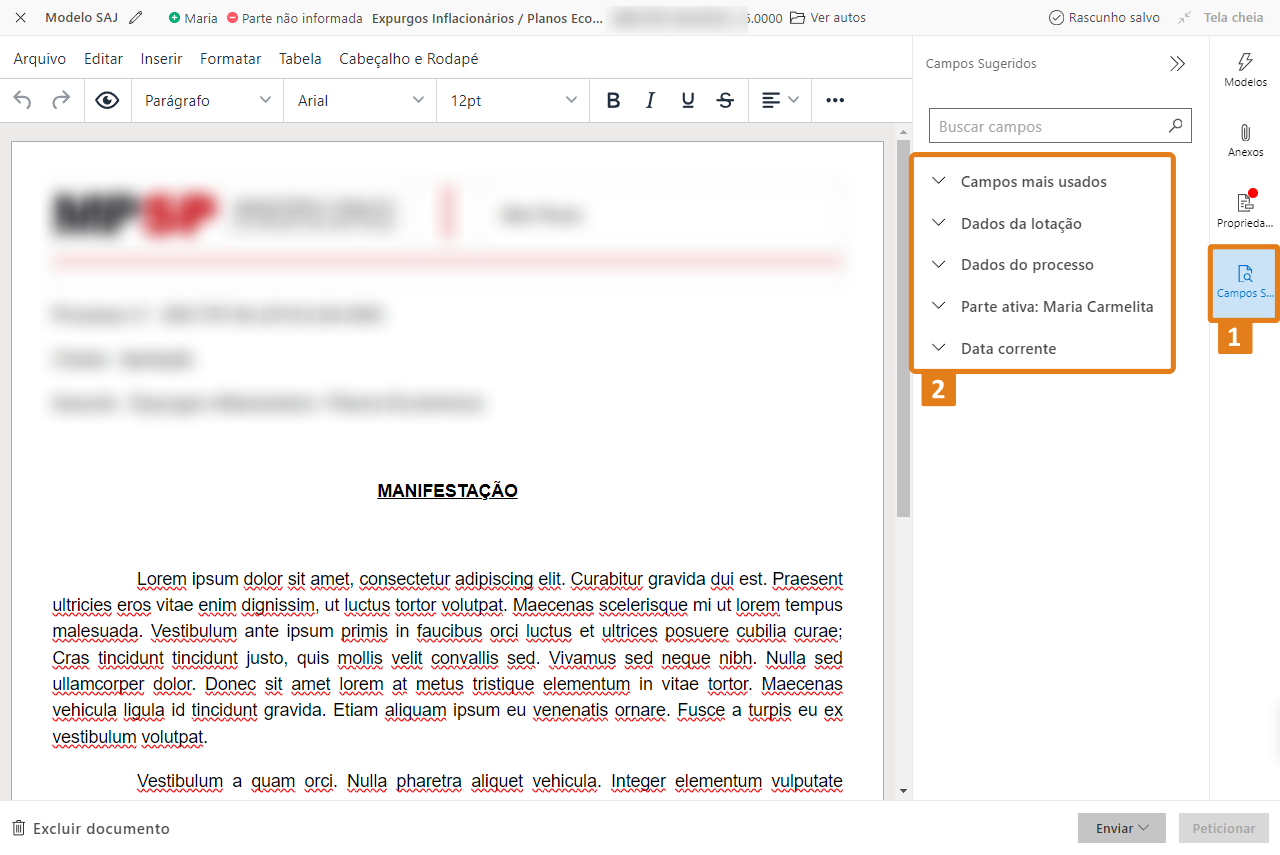 03 campos sugeridos.png