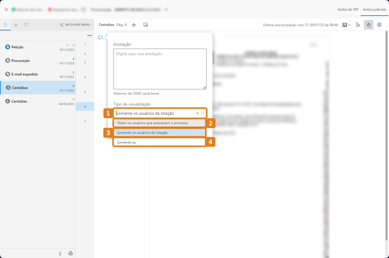 Janela anotação com destaques no campo Tipo de visualização e seuas opções 