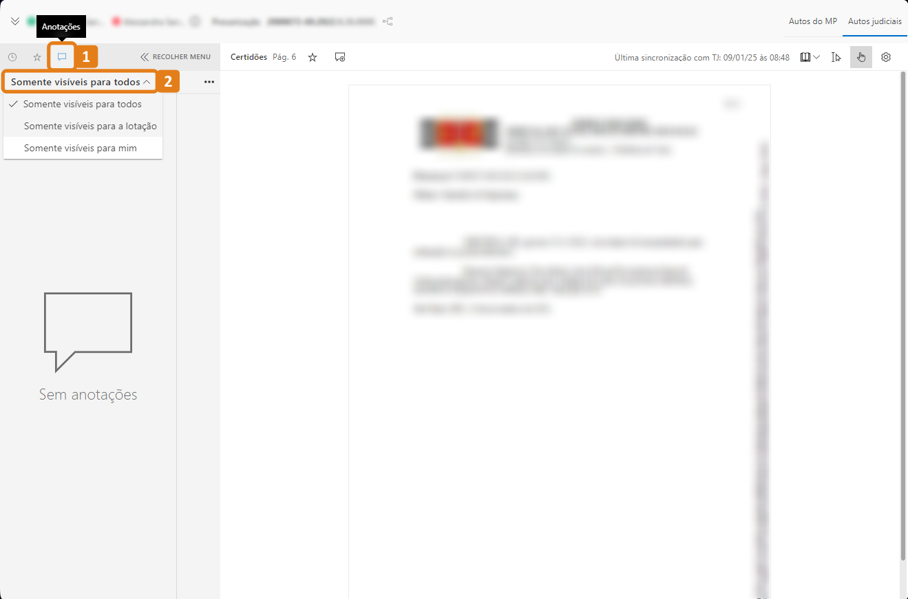 Aba anotações com destaques no botão Anotações e no tipo de visualização