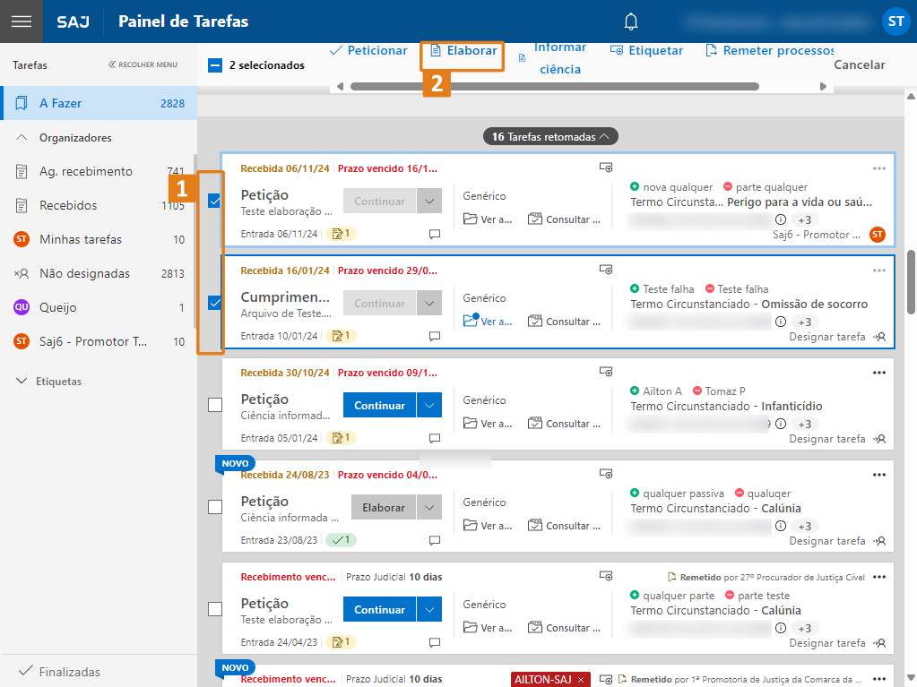 selecao em lote e botao elaborar.png