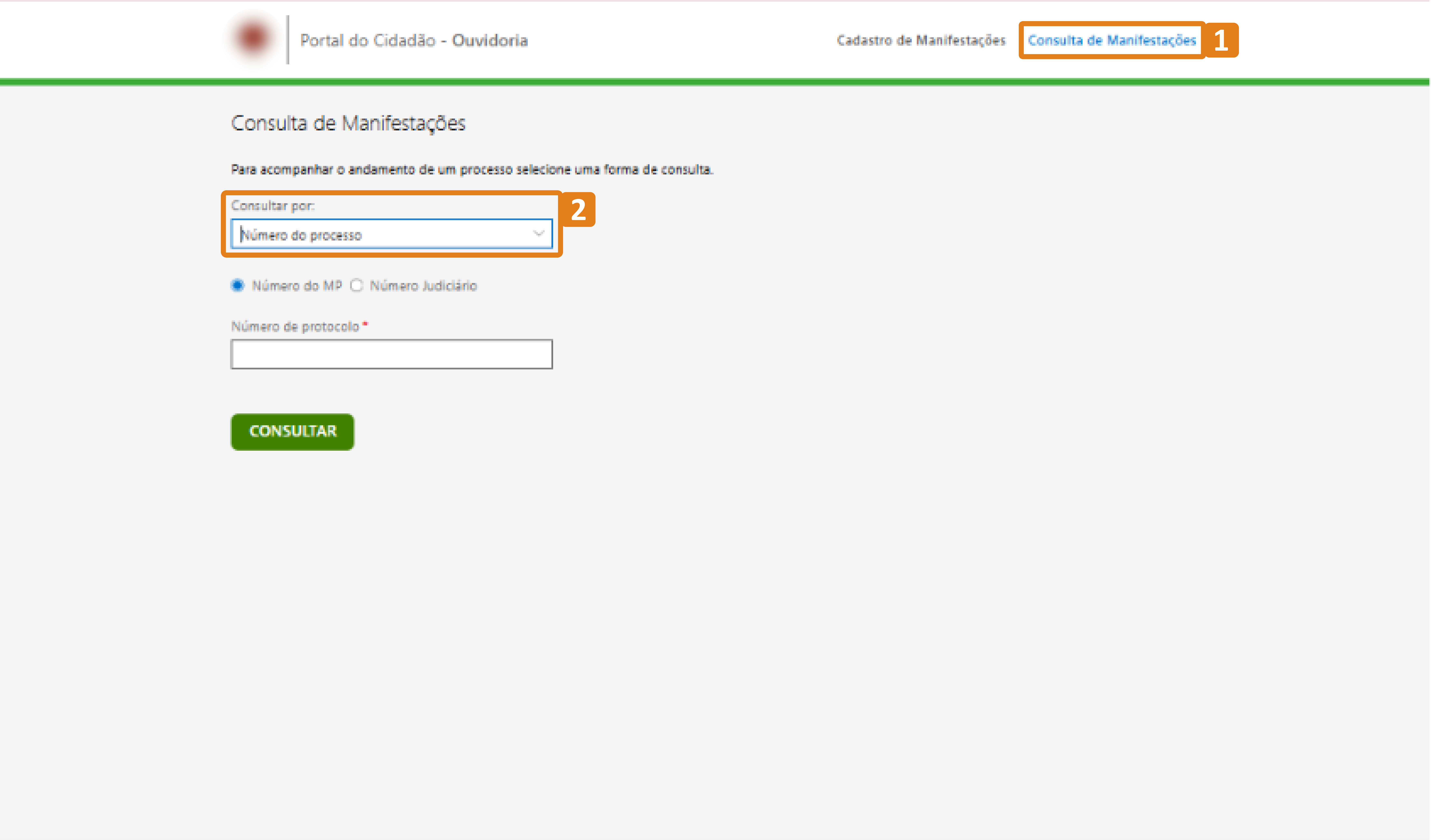 passo 1-consulta manifestacoes-opcao numero processo.png