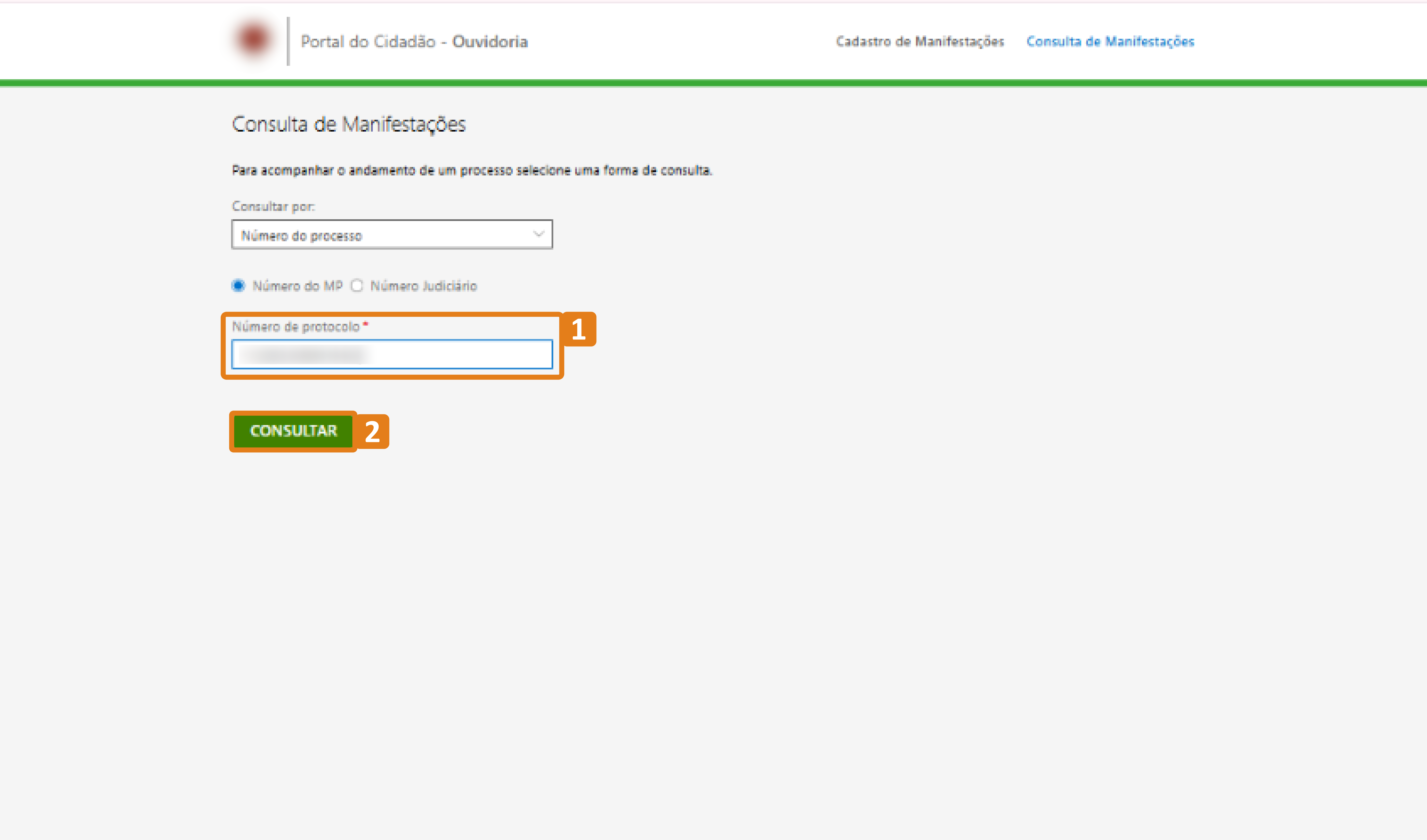 passo 2-numero protocolo.png