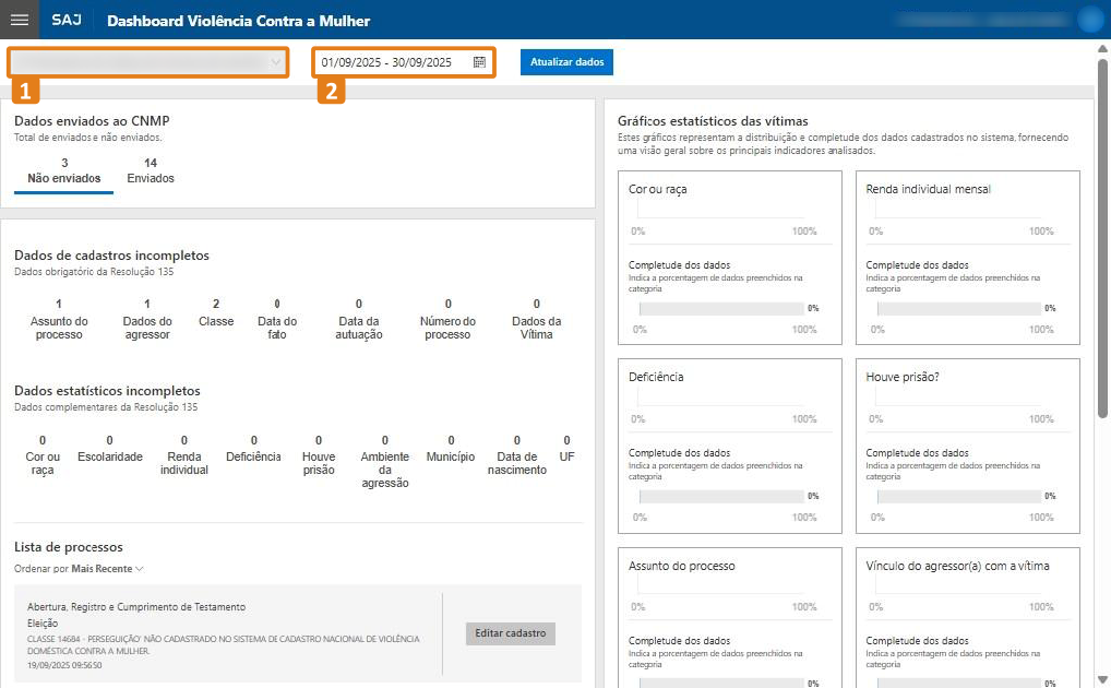 passo 2-filtros padrao-lotacao e periodo.png