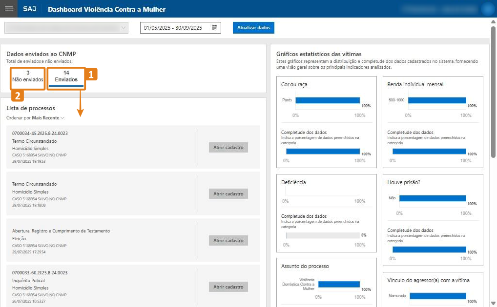 passo 4- opcoes enviados e nao enviados.png